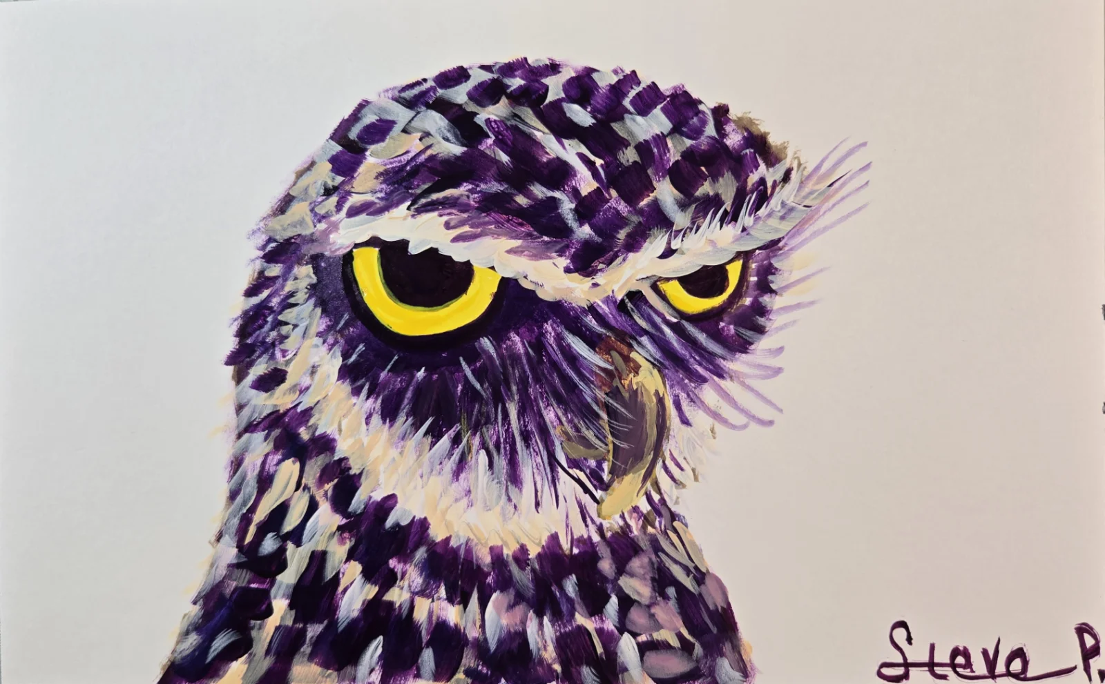 Owl painting by Steve Peterson